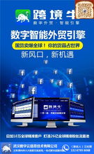 跨境引流系统代理模式与外贸企业流量获取指南